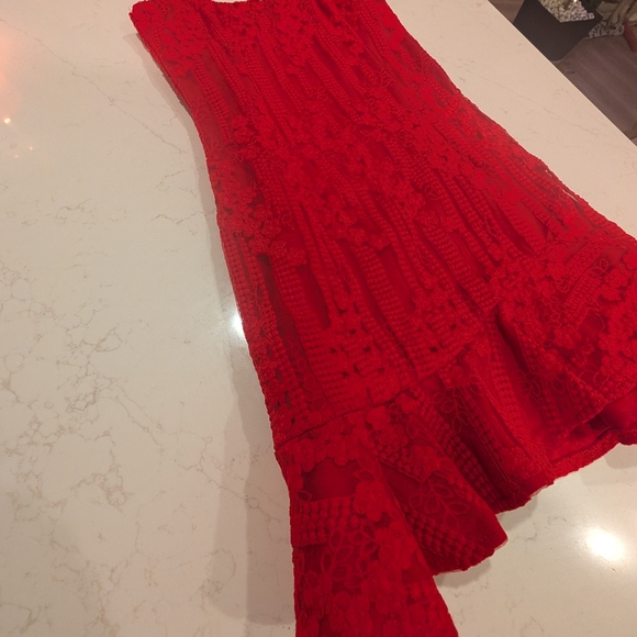 Red Lace Sleeveless Dress - Picture 3 of 5